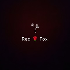 Red Fox2