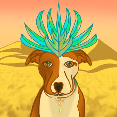 We Are The People (Cover) - Empire Of The Sun