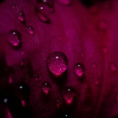 Dub/Minimal/Tech Vol.2