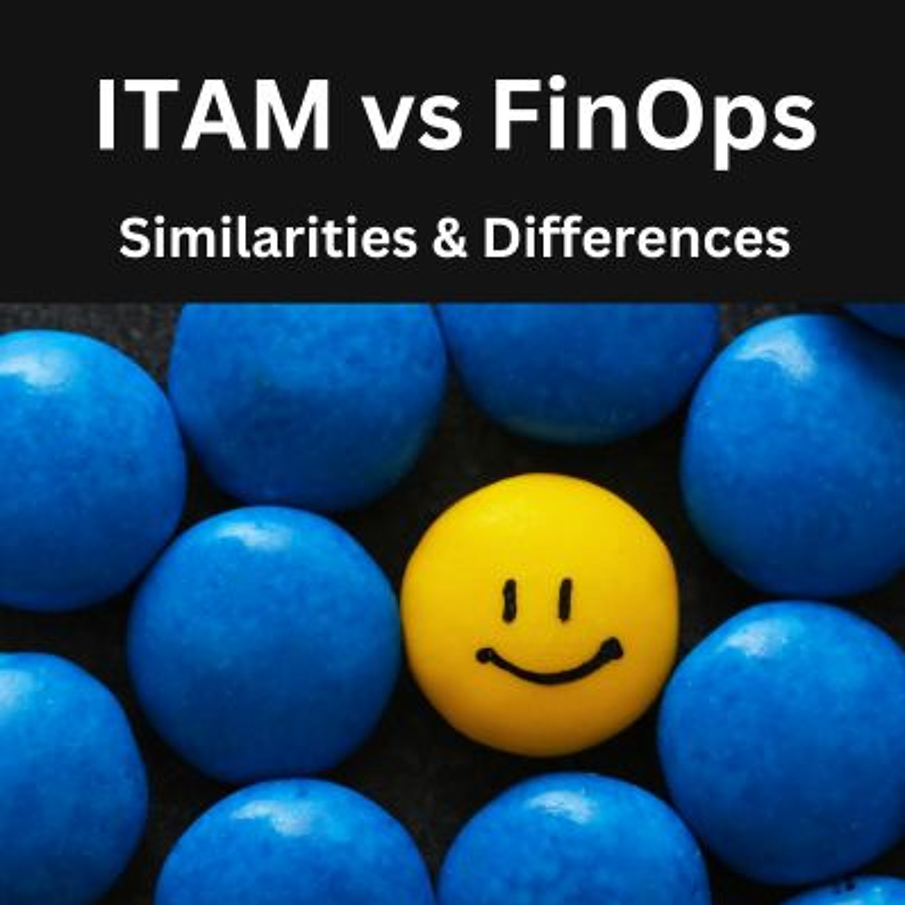 The ITAM Forum Podcast