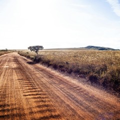 Lorynvel – Digital Rodeo