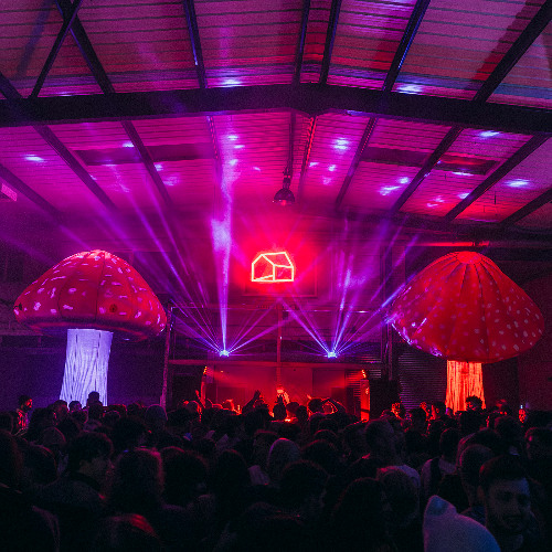 Aidan Doherty recorded live at WUITW NYE 2024