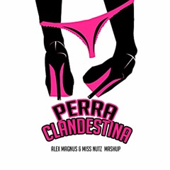 Perra Clandestina ( Miss Nutz & Alex Magnus Mashup)