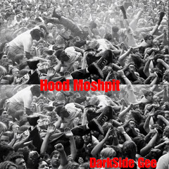 Hood Moshpit “InMySystem”