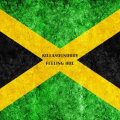 FEELING IRIE  (Ragga Twins Vs KSB) (Electro Steppa Dub)