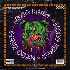 PERRO NEGRO
