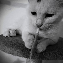 Платина, LIL KRYSTALLL - Притон (speed upnightcore)