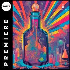 PREMIERE : SHAGY - Luna Park (Original Mix) [Melody Lab]