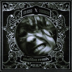 ITA AUDIO X OSBORRONE - Malibu Remix (Clip)