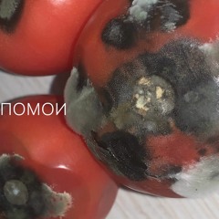Кишлак — Самый лучший день - это никогда