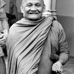 Drzewo w lesie - Tama - Ajahn Chah [LEKTOR PL]