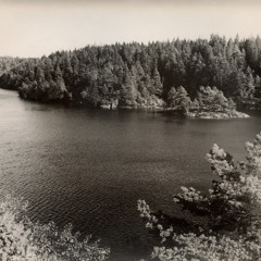 Härsvattnet Dub