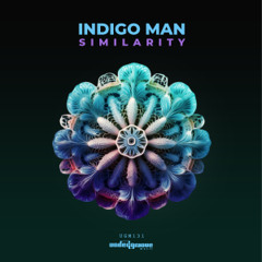 PREMIERE: Indigo Man - Similarity [Undergroove Music]