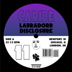 LABRADORR X DISCLOSURE - CARIBE