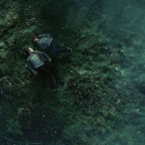 twilight - gooli (p. 2011) (siennaesy exclusive)