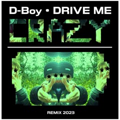 Drive Me Crazy - Remix