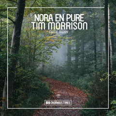 Nora En Pure feat. Tim Morrison - Come Away