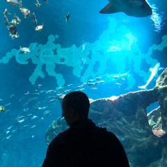 c'est rien (prod. darius)