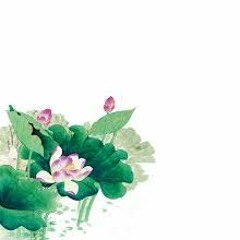 Lotus (KING OF BEATS 2020 SONG CONTEST)