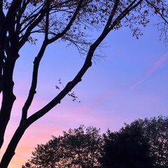 dreamstate. x onestarrymorning - the only time i feel peace is when i'm not conscious