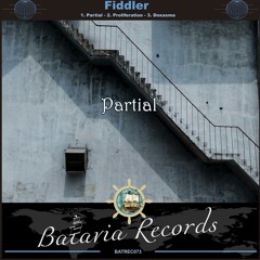 Fiddler - Partial (Original Mix)