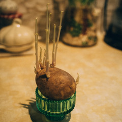 CHEWY SHE - Relationship