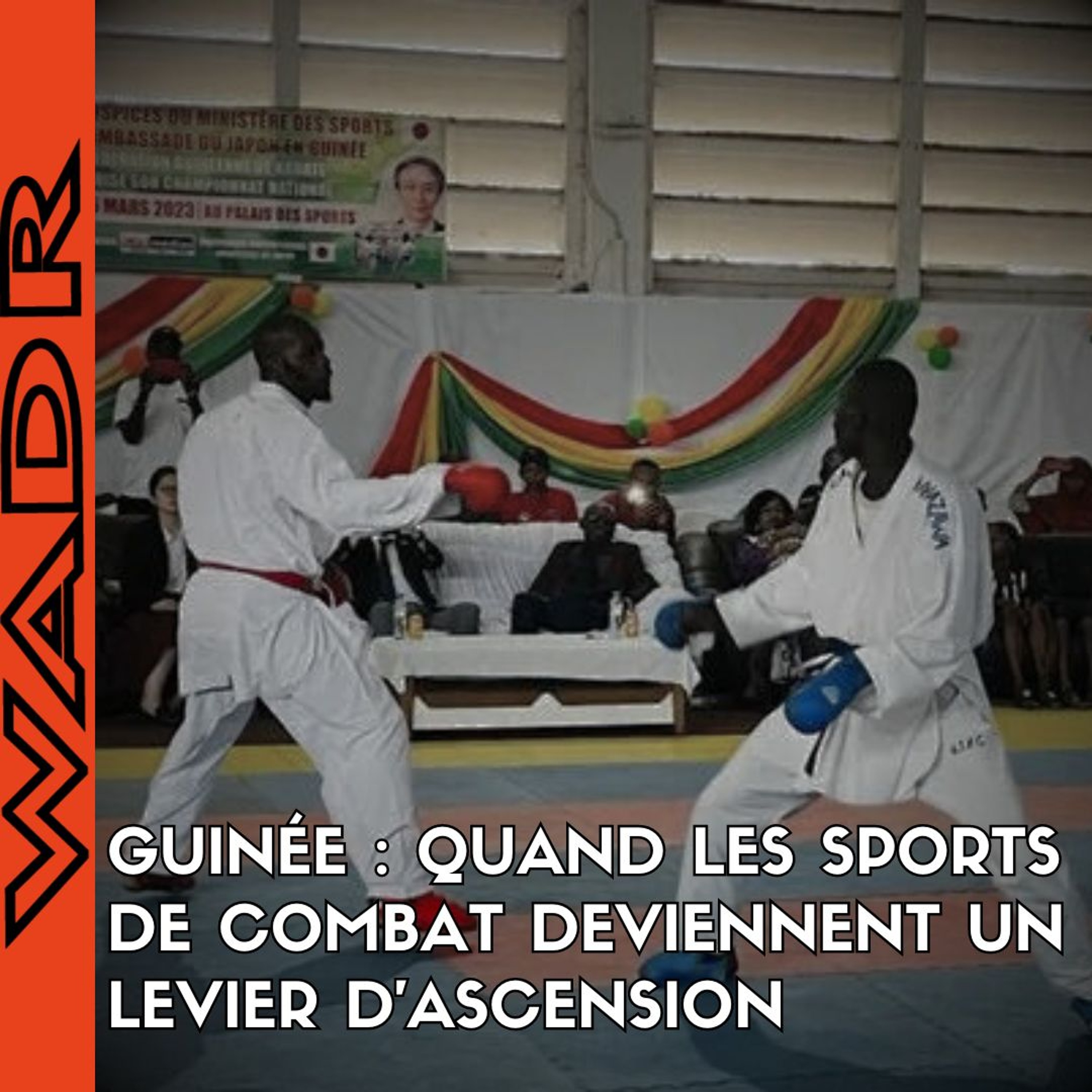Guinée : Quand les Sports de Combat Deviennent un Levier D’ascension - TOUT TERRAIN episode artwork