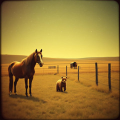 A Moment at Brookhill Farm