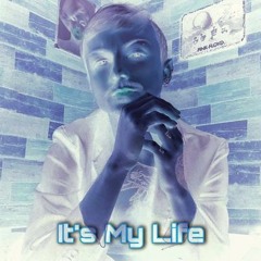 SubNøizzer ft Junior Paes - It's My Life
