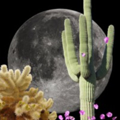 Aldav [002] - Circadian