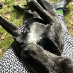 World is a pleasant place