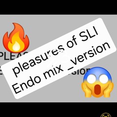 Pleasures of SLI.wav