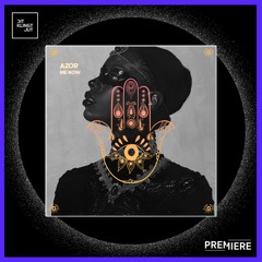 PREMIERE: Azor - Me Now | HAMSA