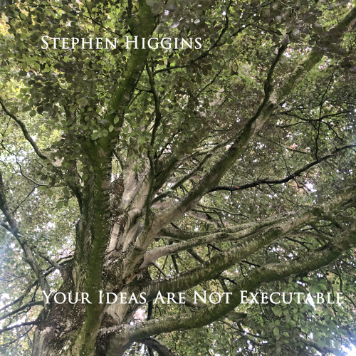 Your Ideas Are Not Executable