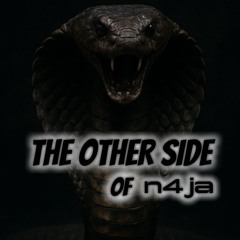 The Other Side Of n4ja #01