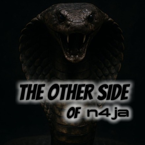 The Other Side Of n4ja #01
