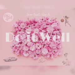 Do It Well (sold)