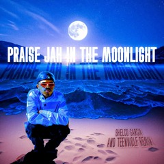 Praise Jah In The Moonlight (Shelco Garcia & Teenwolf Remix) [FREE DOWNLOAD]
