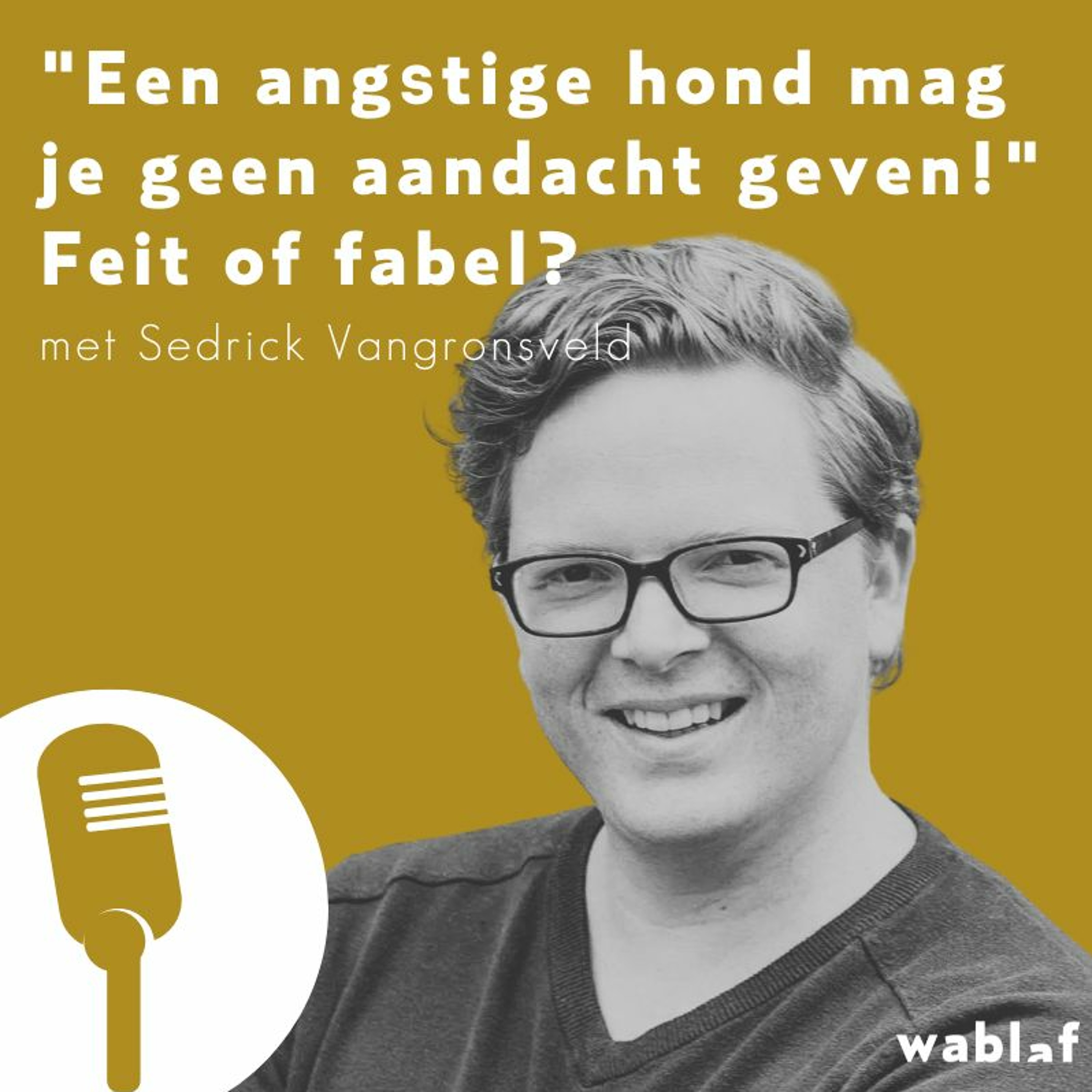 Bewuste Hondenmoeders