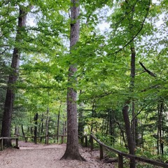 Carry Me (Acoustic demo)