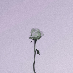 Love me, Love Me Not (Ft. Greyscale / prod. Rejae)