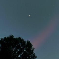 i wrote this song for myself