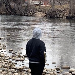 I don't wanna die in LA