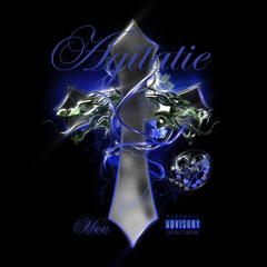 Stefandahoe - Agitație