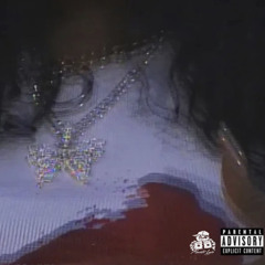 SZA- Shirt (Mix)