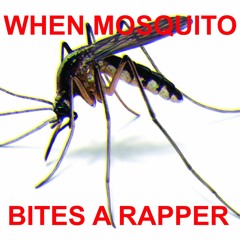 645AR 4 DA TRAP Bass Boosted (mosquito rapper)
