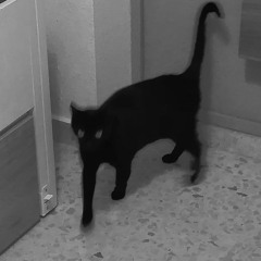 DARK UNDERGROUND TECHNO