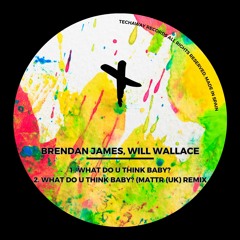 Brendan James, Will Wallace - What Do U Think Baby? (Original Mix)_TEC228