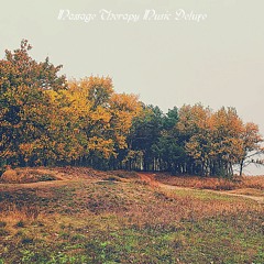 teraphy