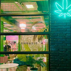 Cozy Cannabis 3/9 Live Set